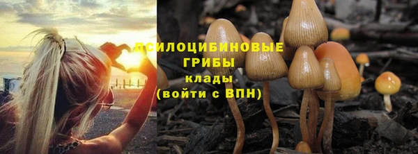 MESCALINE Дмитровск