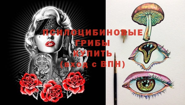 гидропоника Дмитриев