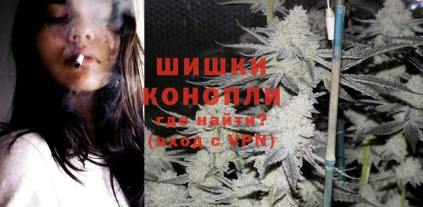 гидропоника Дмитриев