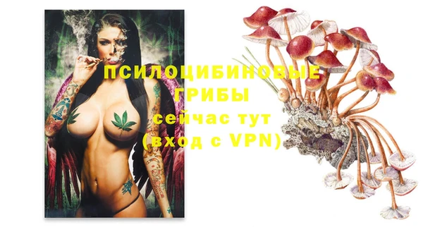 гидропоника Дмитриев
