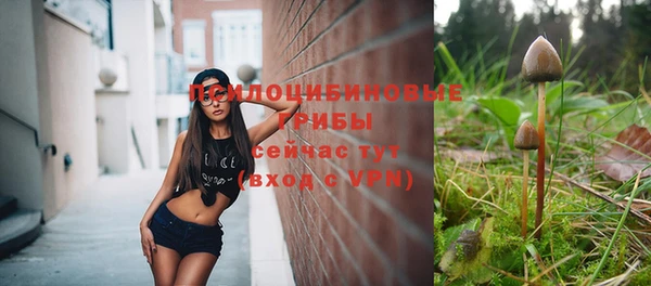 гидропоника Дмитриев