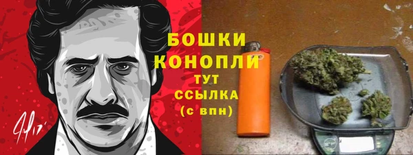 гидропоника Дмитриев